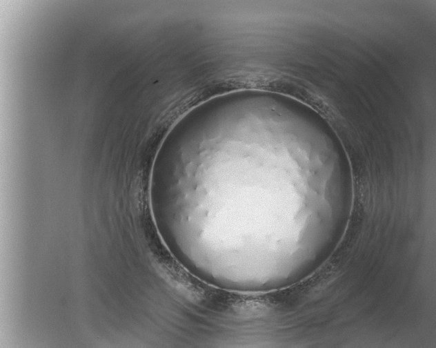 X0000080130594200612221859