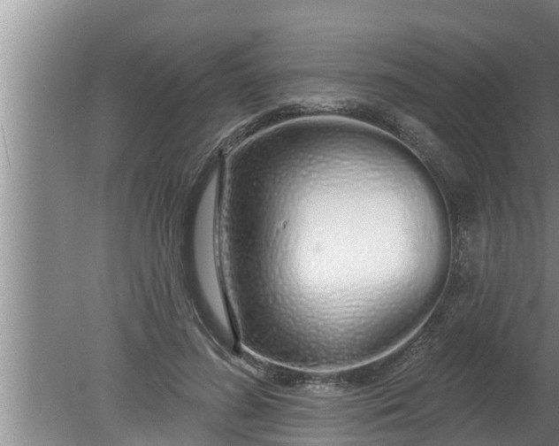 X0000080130596200612221859