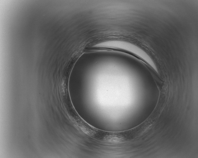 X0000080130597200612221859