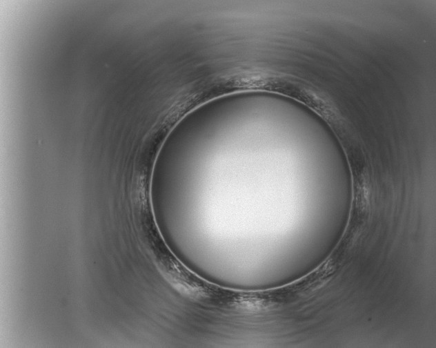 X0000080130598200612221859