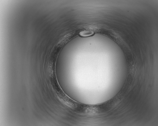 X0000080130599200612221859