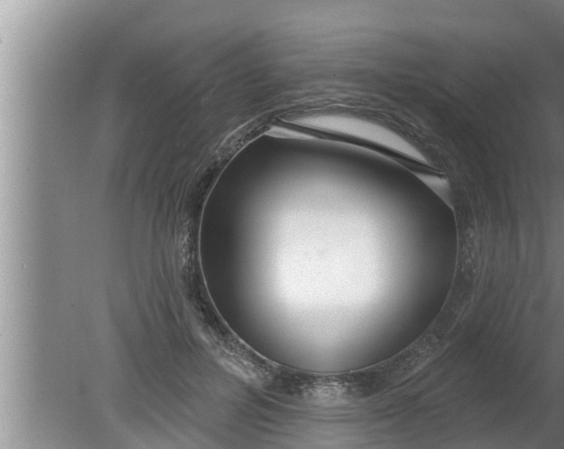 X0000080130600200612221859