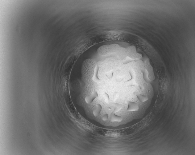 X0000080130602200612221859