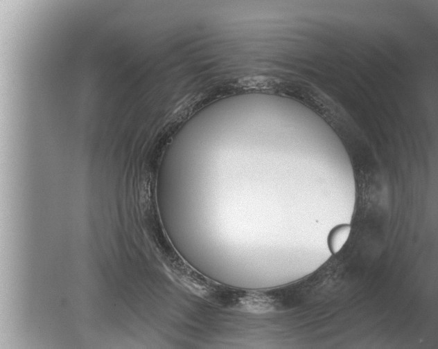 X0000080130603200612221859