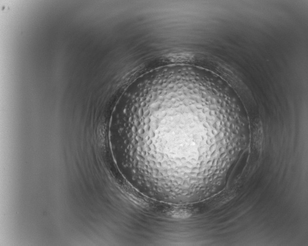 X0000080130604200612221859