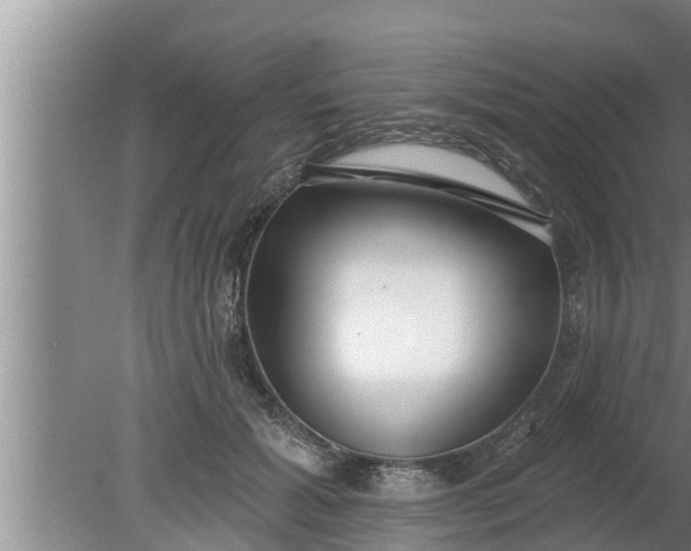 X0000080130605200612221859