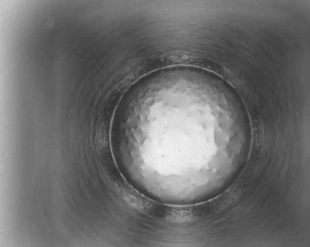 X0000080130606200612221859