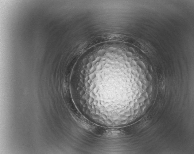 X0000080130607200612221859