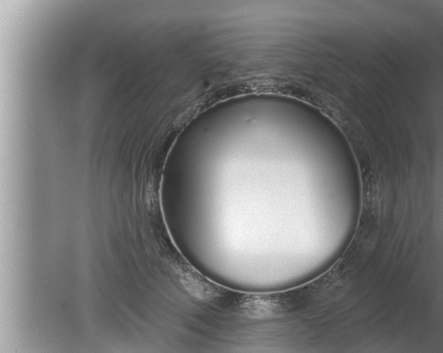 X0000080130610200612221859