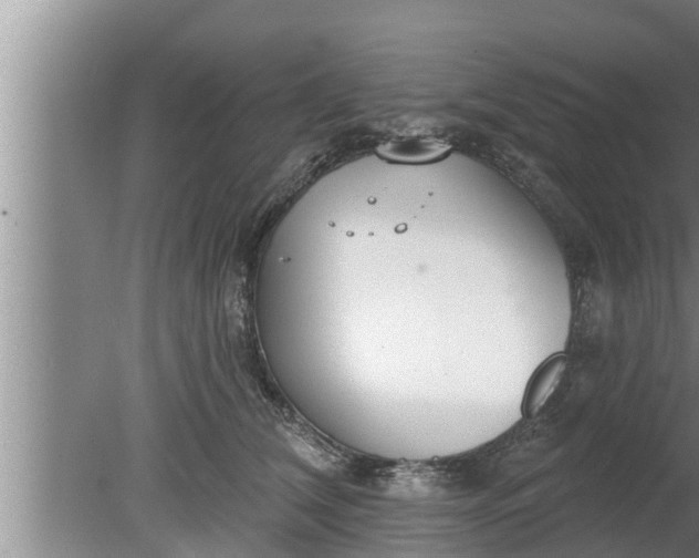 X0000080130612200612221859