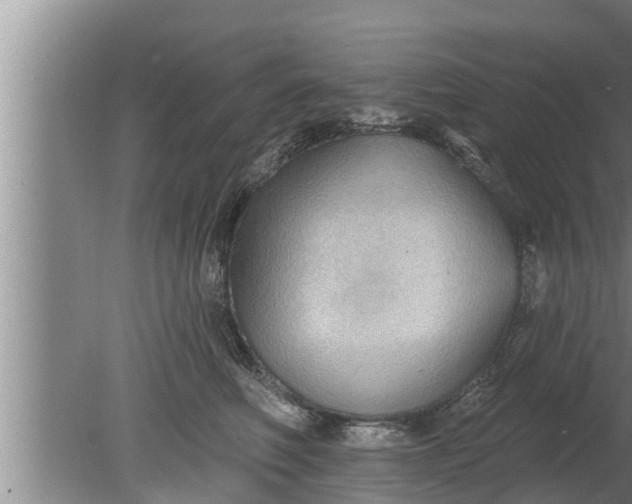 X0000080130614200612221859