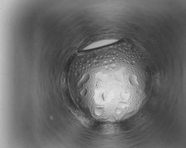 X0000080130615200612221859