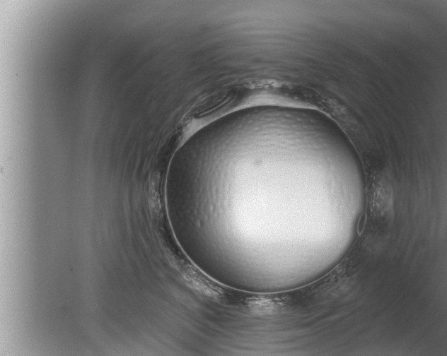 X0000080130616200612221859