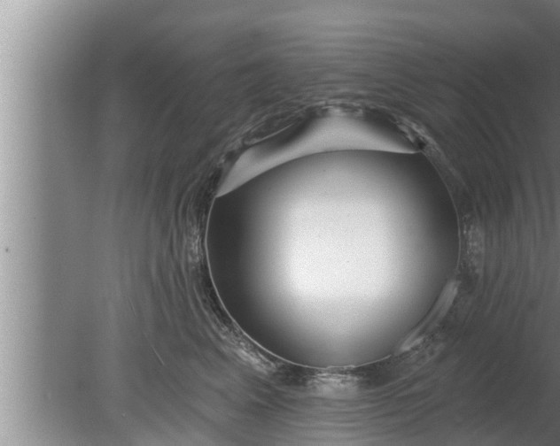 X0000080130617200612221859