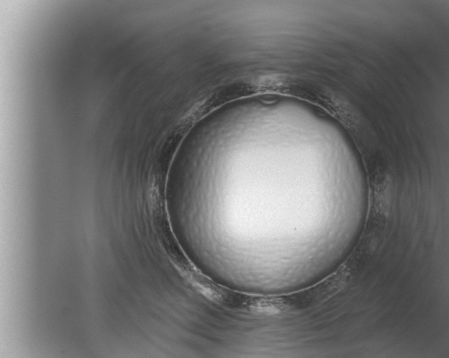 X0000080130618200612221859