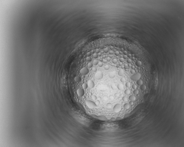 X0000080130619200612221859