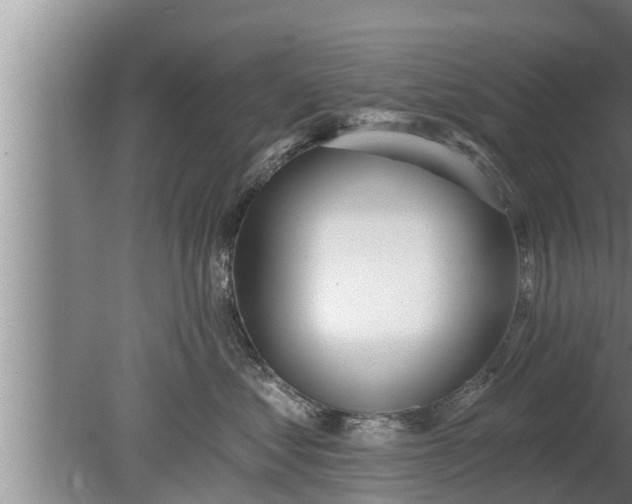 X0000080130621200612221859