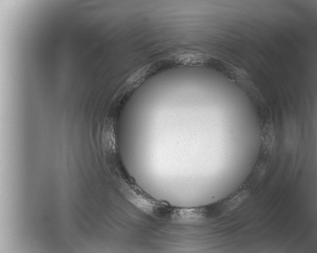 X0000080130622200612221859