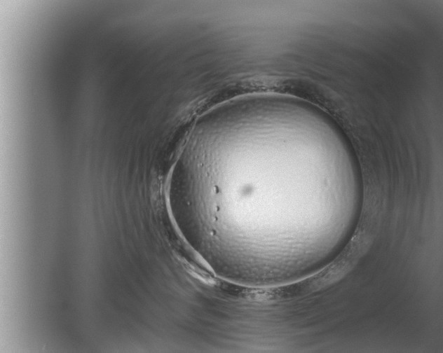 X0000080130624200612221859