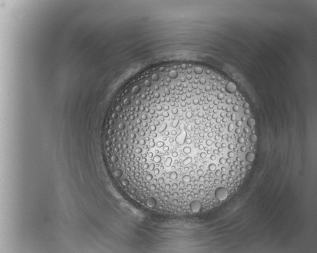 X0000080130625200612221858