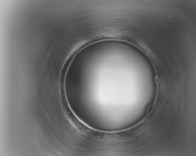 X0000080130626200612221858