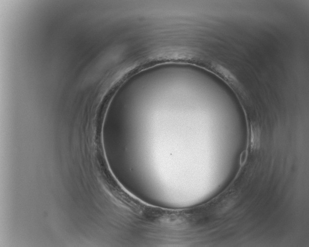 X0000080130627200612221858