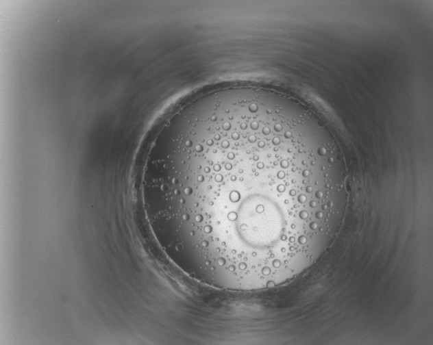 X0000080130628200612221858