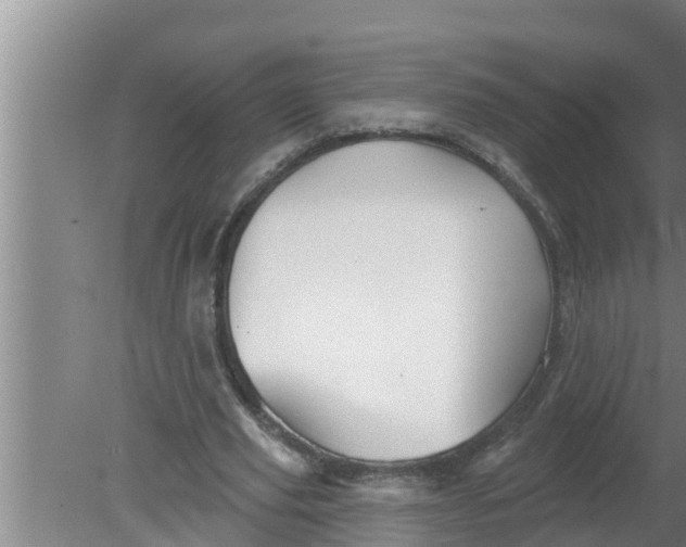 X0000080130629200612221858