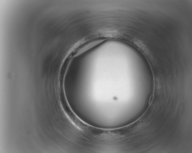 X0000080130630200612221858