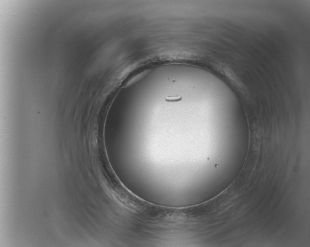 X0000080130631200612221858