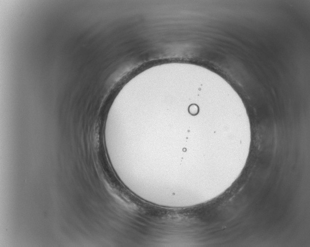 X0000080130632200612221858