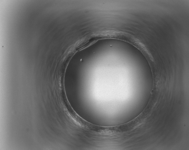 X0000080130633200612221858