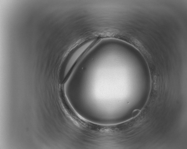 X0000080130634200612221858