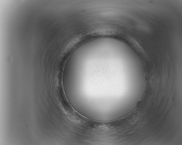 X0000080130635200612221858