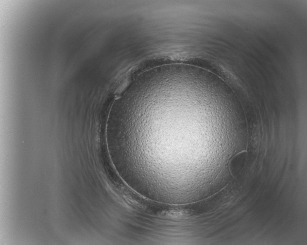 X0000080130639200612221858