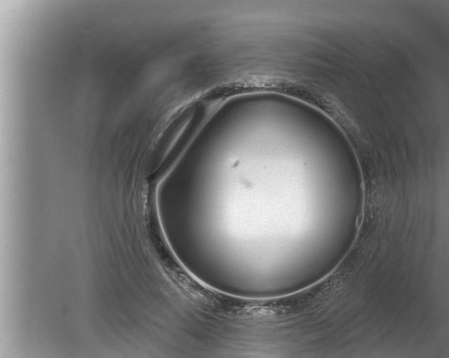 X0000080130640200612221858