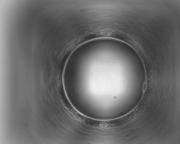 X0000080130641200612221858