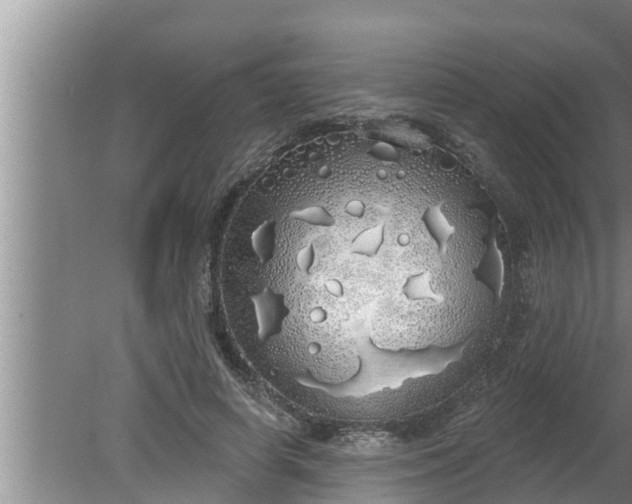 X0000080130642200612221858