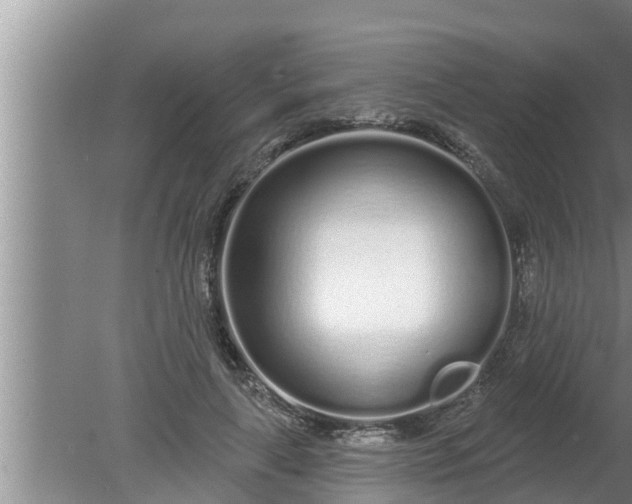 X0000080130643200612221858