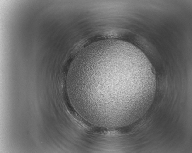 X0000080130645200612221858