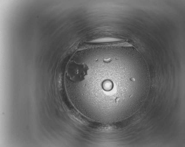 X0000080130646200612221858