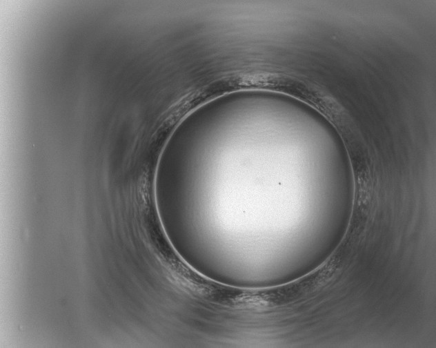 X0000080130648200612221858