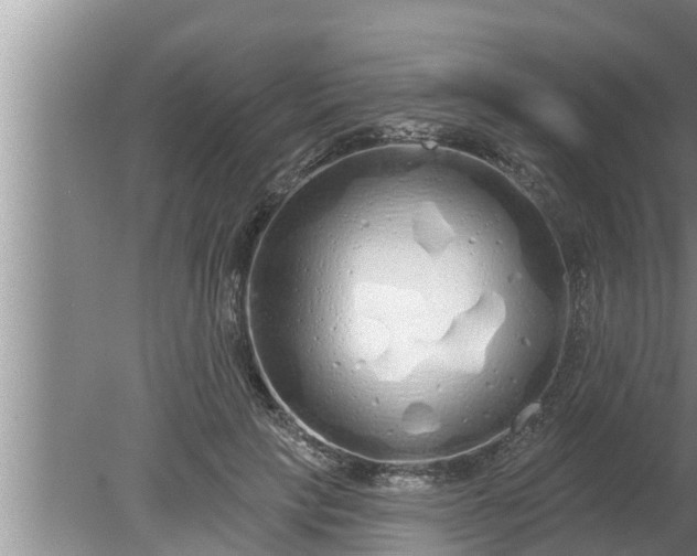 X0000080130649200612221858