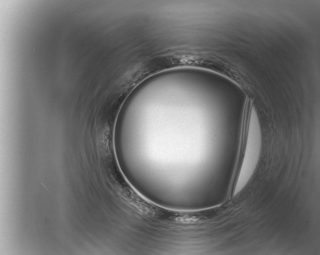 X0000080130650200612221858