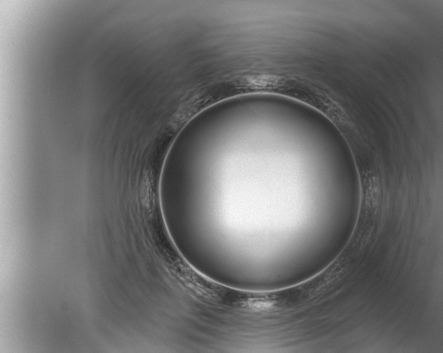 X0000080130651200612221858