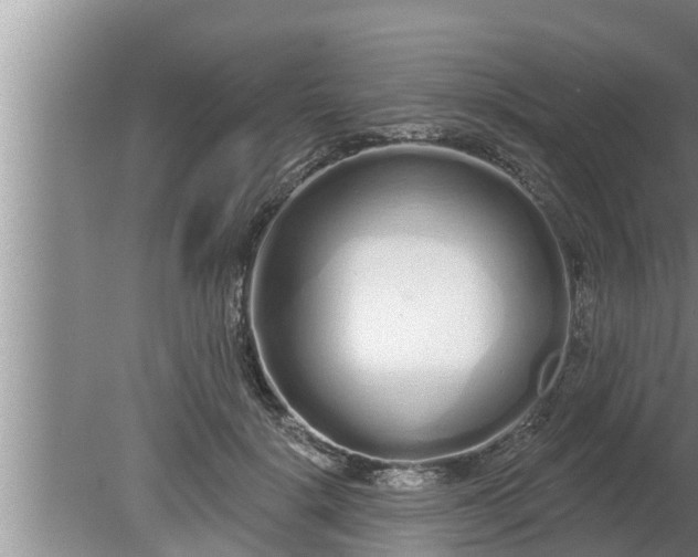 X0000080130652200612221858