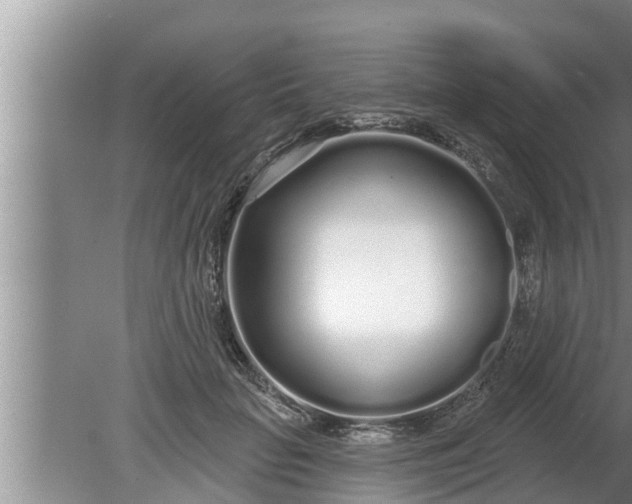 X0000080130653200612221858