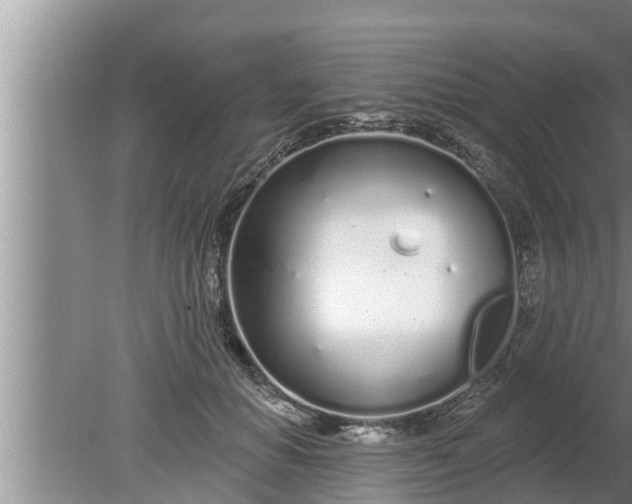 X0000080130654200612221858