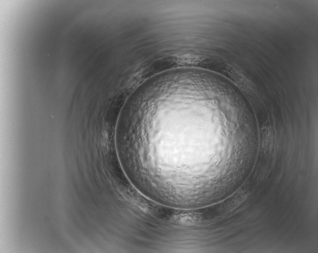 X0000080130655200612221858