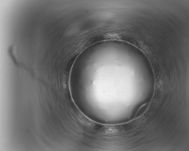 X0000080130658200612221858